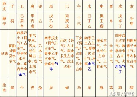 巳藏支|十二地支的藏干内容和内涵，一次给讲清楚